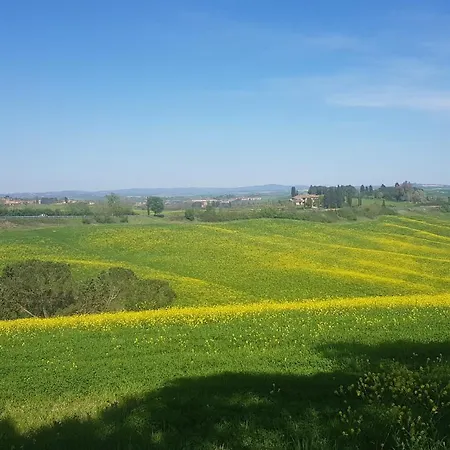 Gli Ulivi Di 2 *