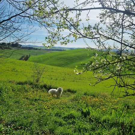 Gli Ulivi Di 2 Semesterbostad Siena